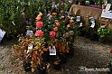 VBS_6786 - FLOREAL Ottobre 2022 - Tre giorni di fiori, piante e bellezza